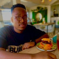 thezuluman. (@ryan_mathonsi) 's Twitter Profile