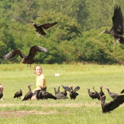 Eagle Msc. student, Geographer, Remote Sensing, Animove, Conservation, Northern Bald Ibis, Waldrappteam