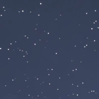 Neige_81's profile picture. 。⋆˸*⋆ ✻˸*⋆❅*॰*⋆✻*⋆✻*˸❅*॰ॱ* ✻ ⋆*˸*⋆。