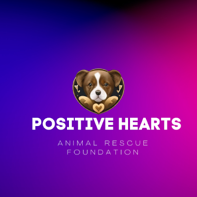 🐾 Advocating for Homeless Animals | Creating Positive Change | Spreading Love and Hope 🌟🐶 #PositiveHearts