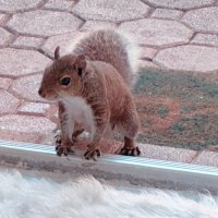 S~a~r~a~h (@sarah238213) 's Twitter Profile