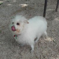 Tamara (@sanchezltam) 's Twitter Profile Photo