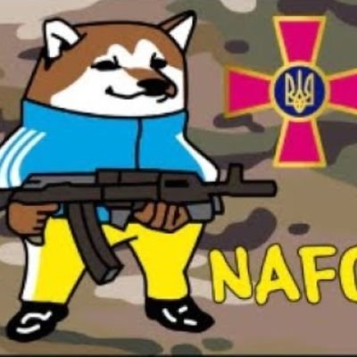 NAFO Forever!

My last couple accounts got Permanently Suspended.