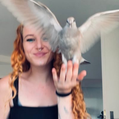 Tier-& Taubenpflege 💚🕊️ • Ⓥ • Tierrechtsaktivistin • Nurse • Klimakämpferin • 🏳️🌈🩺 body & mental health 🧠 Paypal: vegan.flowerchild@hotmail.com