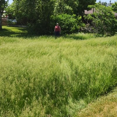 I've always aspired to be out standing in my field 😀