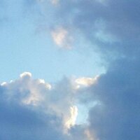 remi tereszkiewicz (@tereszkiewicz) 's Twitter Profile