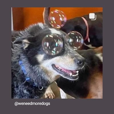 se_villano87's profile picture. Como decía mi padre: Más infeliz que un cubo de cáscaras.
Me gustan los chicos que fuman.