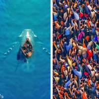 🇩🇿🇩🇪 310 political prisoners in Algeria! (@drobble1) 's Twitter Profile