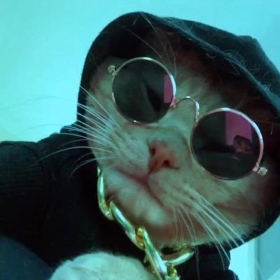 hgguinho's profile picture. hipocrisia à parte, meu lado realista// NB🏳️‍⚧️