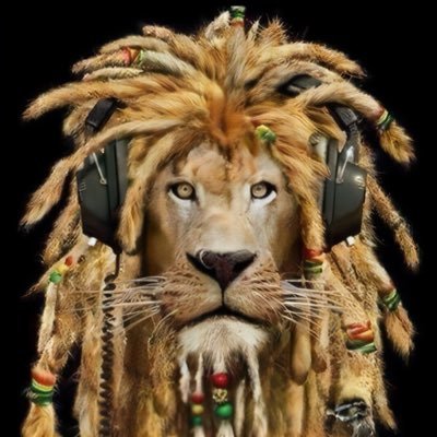 Lion_R4ION Profile Picture
