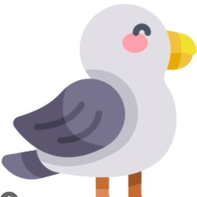 RosaPareja50287's profile picture. 