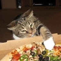 jack (@calcountinged) 's Twitter Profile