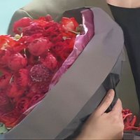 SHOW-TKHR (@h9129showtkk) 's Twitter Profile Photo