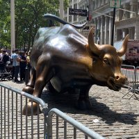 FLKinkCpl (@polypancouple) 's Twitter Profile