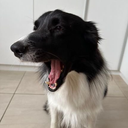 Br_Stash's profile picture. 