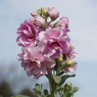 TRTu❤️ Memecoin (@ttrtu12014) 's Twitter Profile