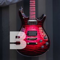 Brian's Guitars(@briansguitars) 's Twitter Profileg