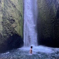 🌊 Agua Apostle 🌊 (@aguaapostle) 's Twitter Profile Photo