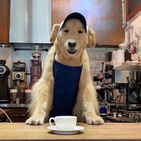 A.mártin🍠 (@martinfinferz) 's Twitter Profile Photo