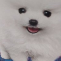 感謝感激 連続完封 (@jsugno) 's Twitter Profile
