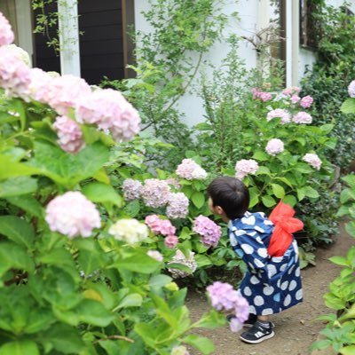 maru_toha's profile picture. のんびりゆる知育垢 教材沼の住人 4歳&0歳からのおうち英語。トド英語 ORC WWK CTP等