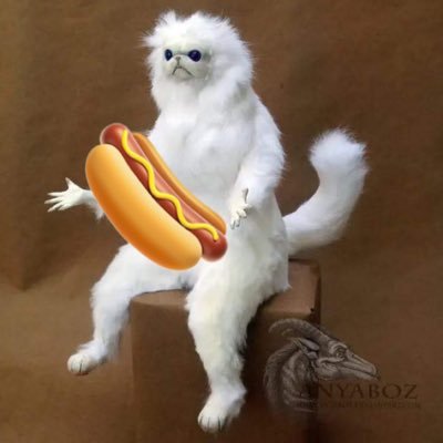 chambie1990's profile picture. really good at being really bad at trading..