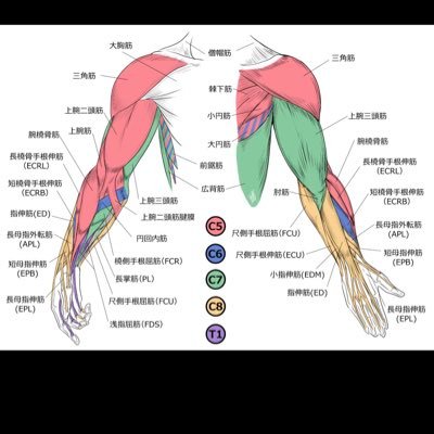 psaku8714's profile picture. 30代男、医療の愚痴など見るのが楽しい。時々どうでも良い事を発言したくなる。2024年1月、9年ぶりにパズドラ再開。