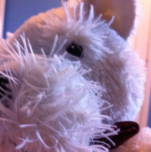 WillieTheWestie's profile picture. 