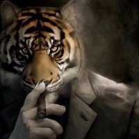 M² (@investor_mm) 's Twitter Profile Photo M² (@investor_mm) 's Twitter Profile Photo