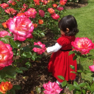 小学生の娘氏をバイリンガル改トリリンガルにするべく日々奮闘中。 アメリカ育児(1-3歳)フランス育児中(9歳-) /小受/習い事(🏀🤸♀️💻🎹🎻🩰)🇺🇸🇫🇷/乗り鉄娘/英検3級/フランス語勉強中/東大卒パパ&博士号ママ/Amazonアソシエイト参加中 /JAPAN/
