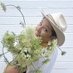 frankie🌾 (@humanhouseplant) Twitter profile photo frankie🌾 (@humanhouseplant) Twitter profile photo