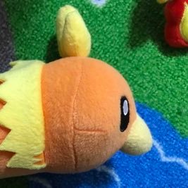 achamolover's profile picture. 🐊