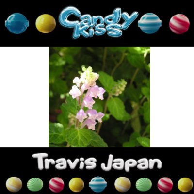 Travis Japan応援アカウント。#TJ応援垢育成
無言フォロー失礼します。無言フォローもちろんOK。
トラジャ本垢も新規です。応援垢以外で→@keitenshow
大人トラジャ担。この垢では箱推し。よろしくお願いします！🐯🍀