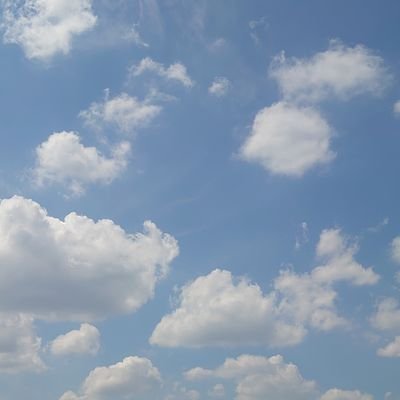 kamada5111849's profile picture. 害しか無いワクチンやマスクなど非科学的な信仰😷と詐欺師（医者・弁護士・メディア）と反日が大嫌いなごくごく普通の日本国民です😊