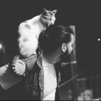 Bash (@bashbeeshoo) 's Twitter Profile Photo Bash (@bashbeeshoo) 's Twitter Profile Photo