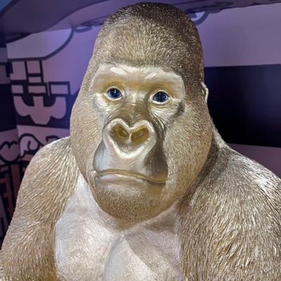 フォートナイトカスタム権限欲しいのでフォローお願いします！
