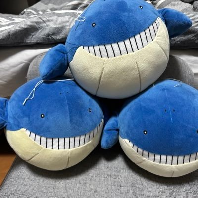 しろ　休養なうですさんのプロフィール画像