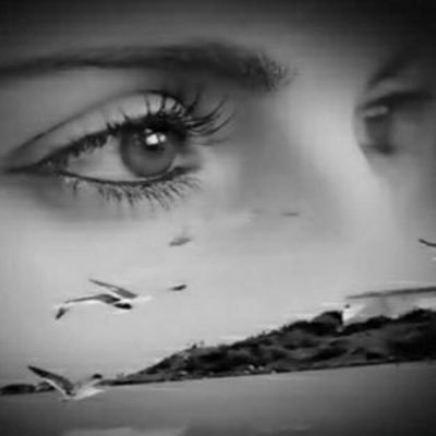 AlqulubM's profile picture. 