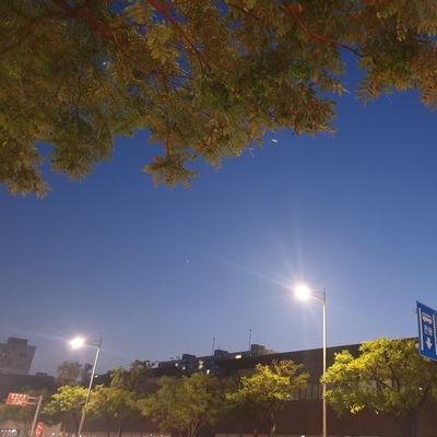 myq7mm's profile picture. 