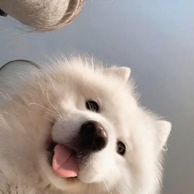 Lokio98's profile picture. 