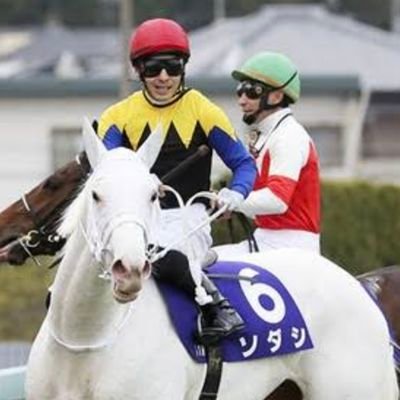 以前、中央競馬の競走馬の育成・調教をしていた元馬乗りです。
今は、電気工事士です。

好きな馬は、リスグラシュー・テンポイント・ホワイトフォンテン・オグリキャップ。

推しの芸能人→堀田真由・八木莉可子・新木優子。

競馬の予想をメーンに、自分で感じた世の中の不平不満を載せさせて貰います。