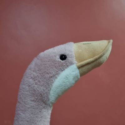 jumpingjasmines's profile picture. wasting away