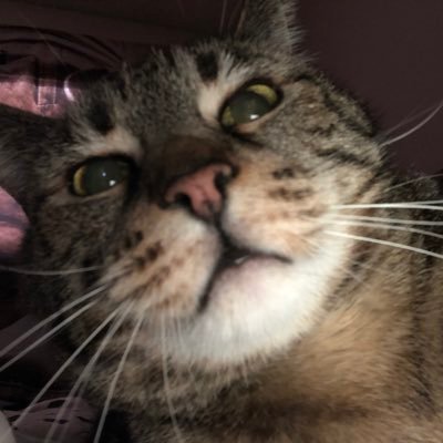 DallasW54961090's profile picture. 