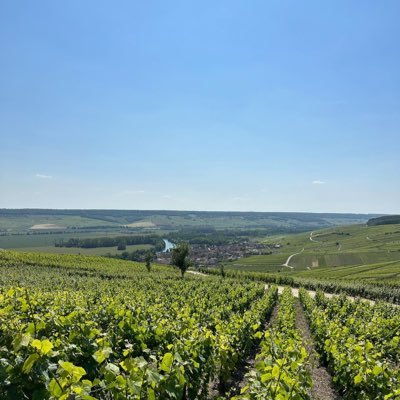 AlxPttt's profile picture. 