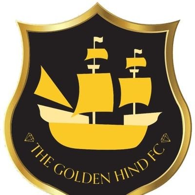 Ipswich Sunday league division 1 
sponsors: Henstowe ltd & The Golden hind ipswich