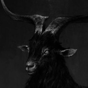 dk___6666's profile picture. He/she/they🦇22🐀pl🏳️‍🌈🏳️‍⚧️
