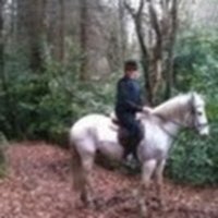 Paula Marie Murphy (@paulamarie23847) 's Twitter Profile