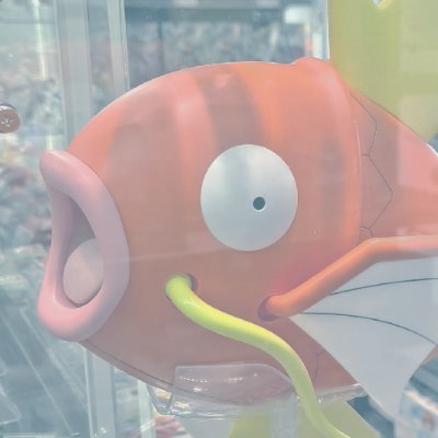 굿금붕さんのプロフィール画像