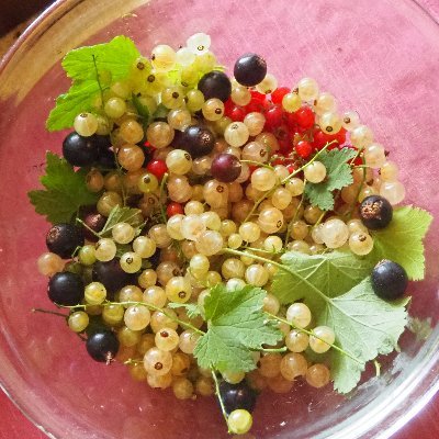 H_Mint3649's profile picture. ふだんの生活から