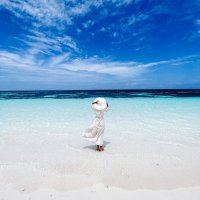 π (@swaairah) 's Twitter Profile